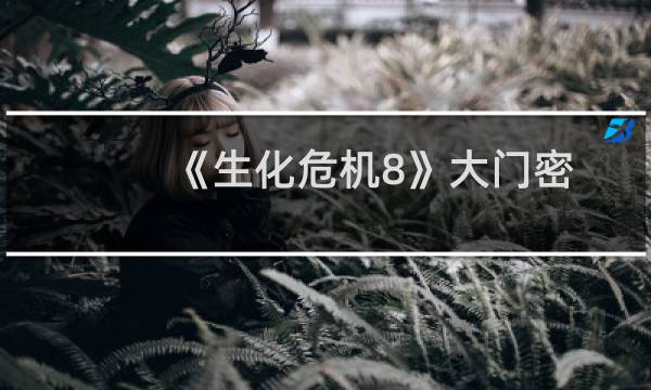 《生化危机8》大门密码汇总