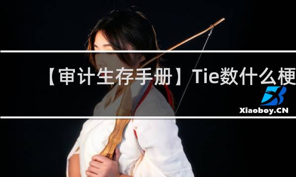 【审计生存手册】Tie数什么梗