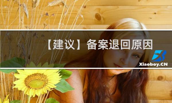 【建议】备案退回原因请言简意赅、直接说明