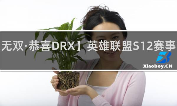 【此志无双·恭喜DRX】英雄联盟S12赛事专属什么梗