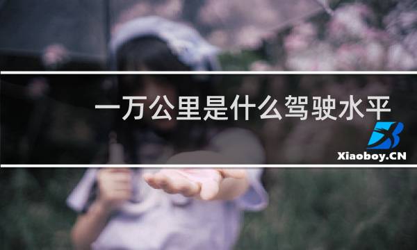 一万公里是什么驾驶水平