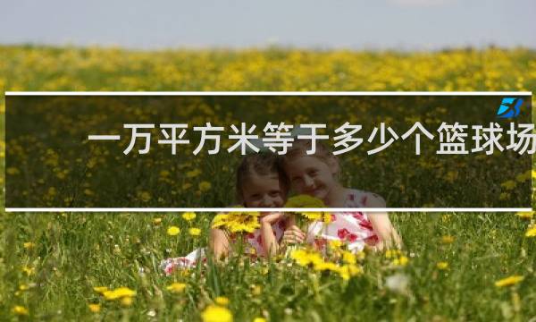 一万平方米等于多少个篮球场