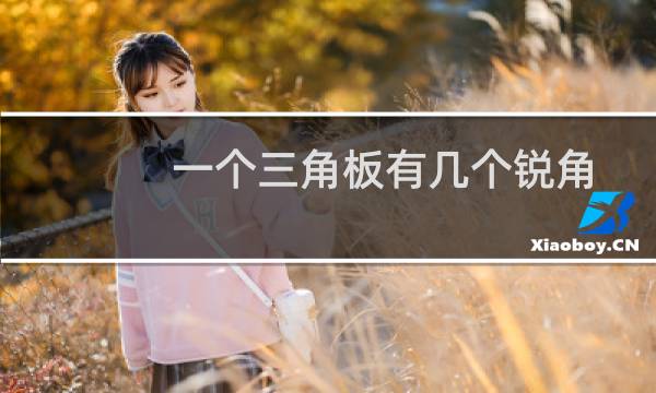 一个三角板有几个锐角