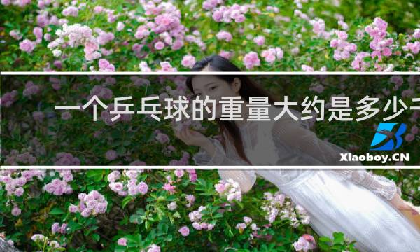 一个乒乓球的重量大约是多少千克