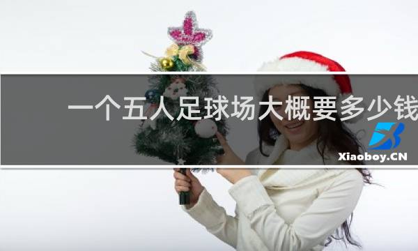 一个五人足球场大概要多少钱
