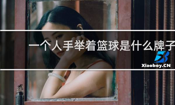 一个人手举着篮球是什么牌子