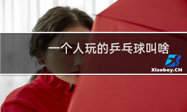 一个人玩的乒乓球叫啥