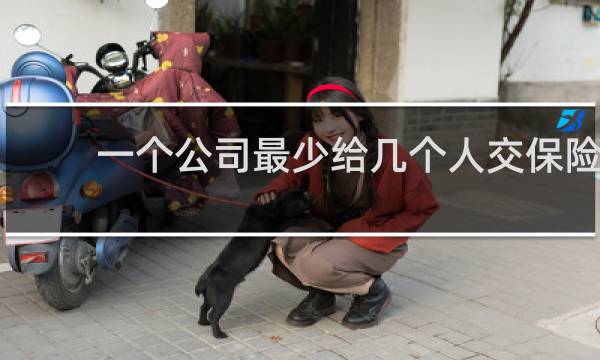 一个公司最少给几个人交保险