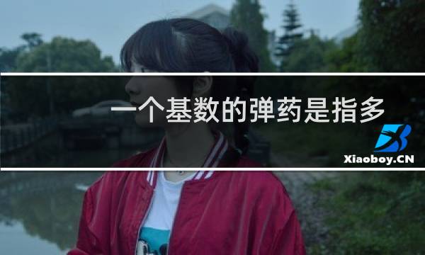一个基数的弹药是指多少（一个基数的弹药是什么意思）图片