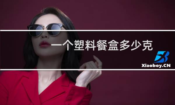 一个塑料餐盒多少克