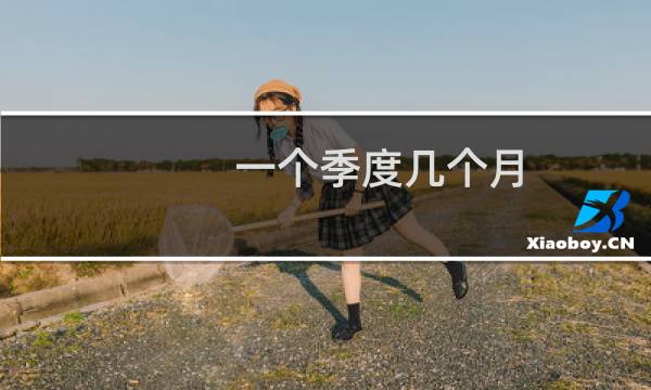 一个季度几个月
