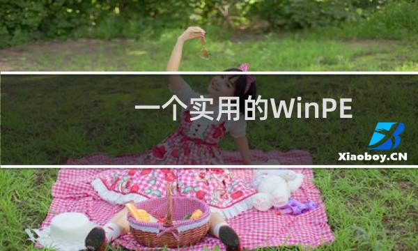 一个实用的WinPE小技巧