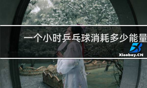 一个小时乒乓球消耗多少能量