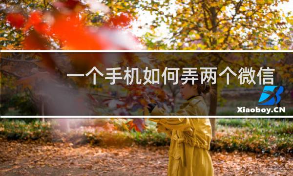 一个手机如何弄两个微信