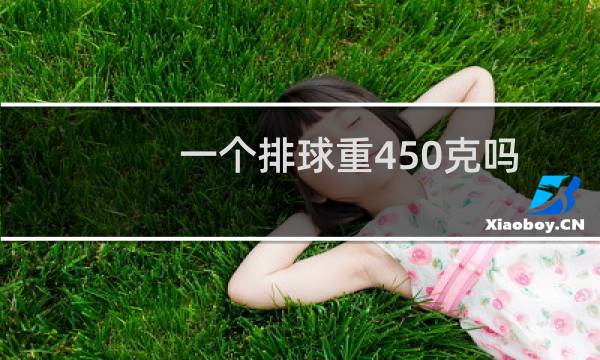 一个排球重450克吗