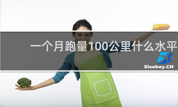 一个月跑量100公里什么水平