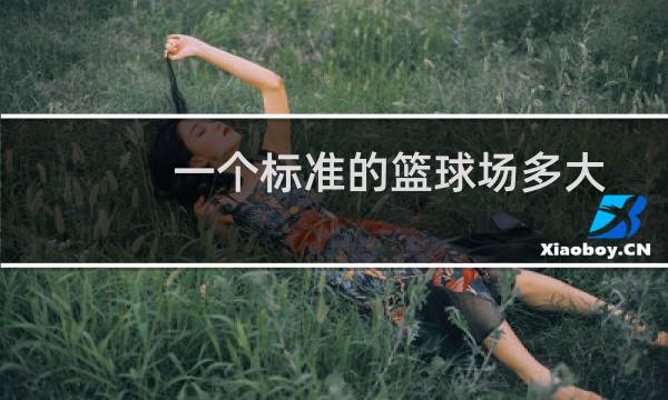 一个标准的篮球场多大