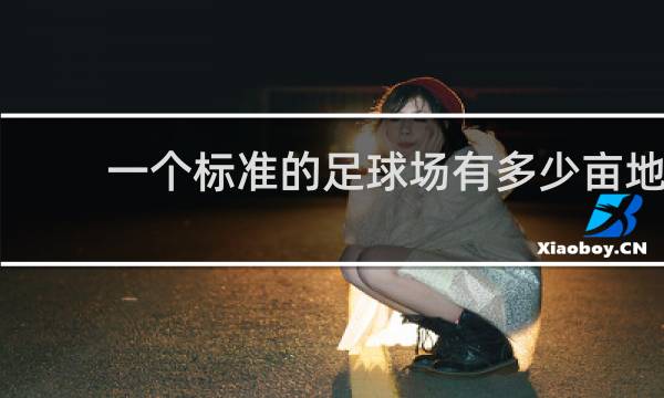一个标准的足球场有多少亩地