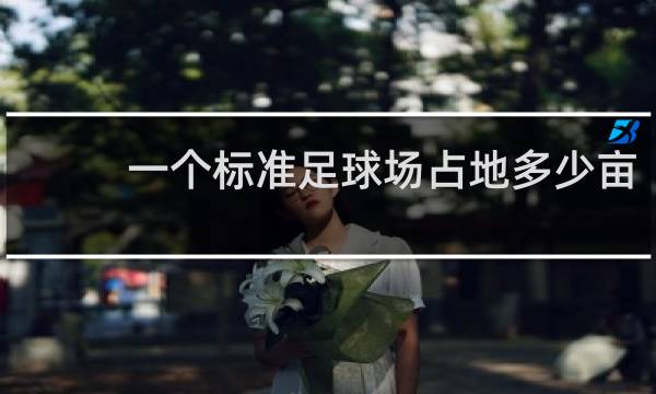 一个标准足球场占地多少亩
