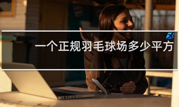 一个正规羽毛球场多少平方