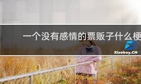一个没有感情的票贩子什么梗