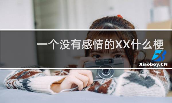 一个没有感情的XX什么梗