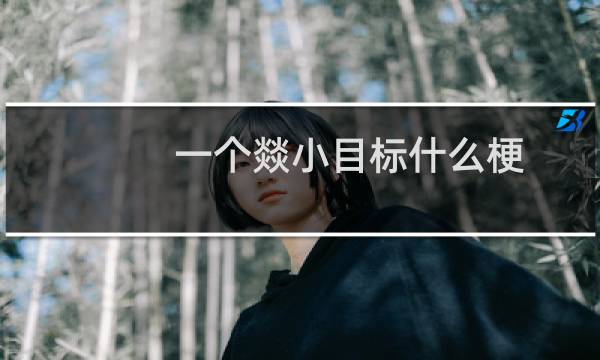 一个燚小目标什么梗？什么梗