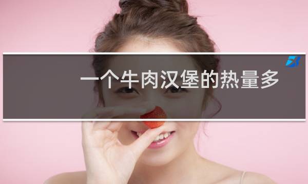 一个牛肉汉堡的热量多少（牛肉汉堡和米饭的热量哪个高）