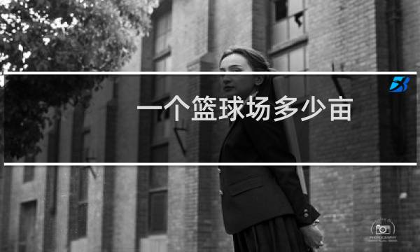 一个篮球场多少亩