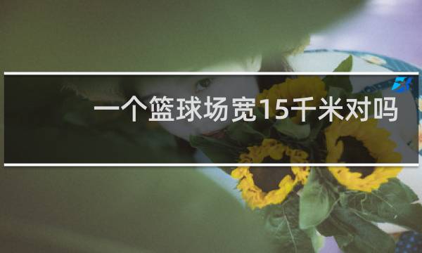 一个篮球场宽15千米对吗