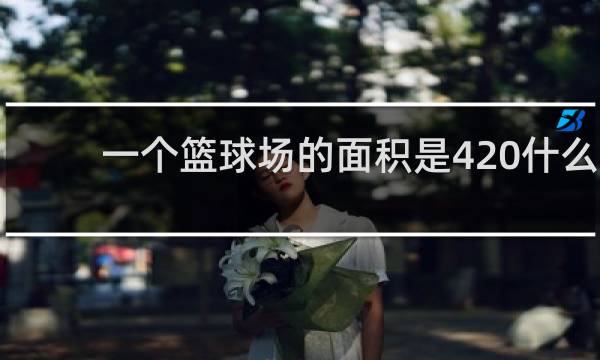 一个篮球场的面积是420什么单位