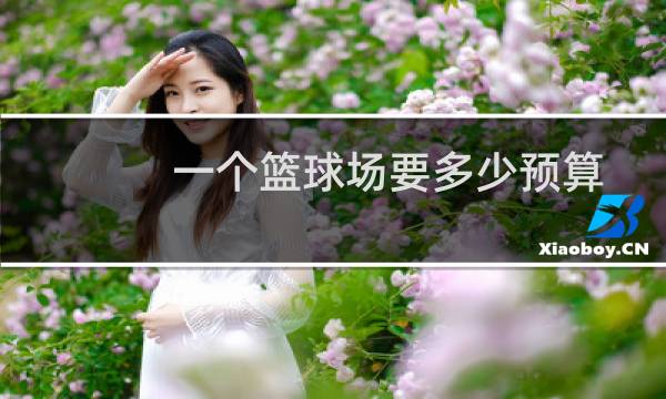 一个篮球场要多少预算