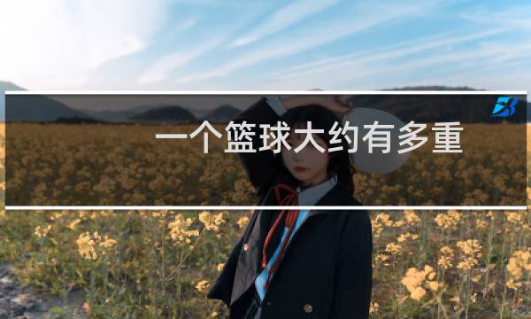 一个篮球大约有多重