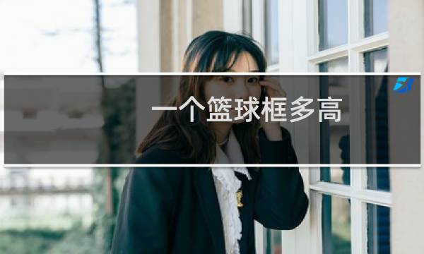 一个篮球框多高