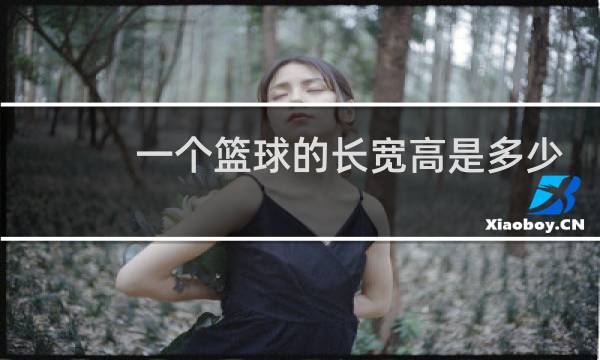 一个篮球的长宽高是多少