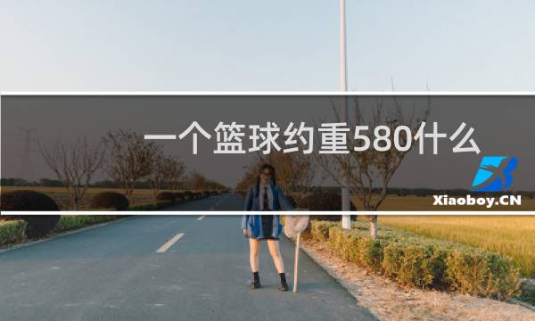 一个篮球约重580什么