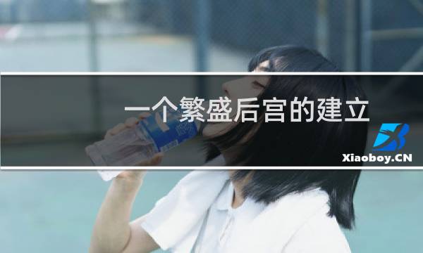 一个繁盛后宫的建立