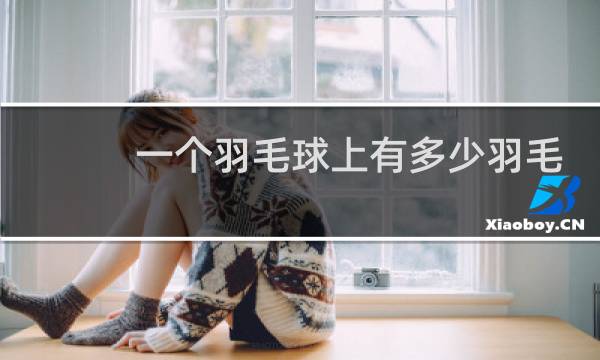 一个羽毛球上有多少羽毛