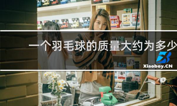 一个羽毛球的质量大约为多少