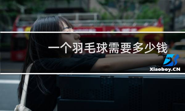 一个羽毛球需要多少钱