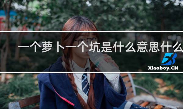 一个萝卜一个坑是什么意思什么梗