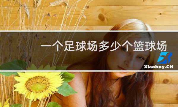 一个足球场多少个篮球场