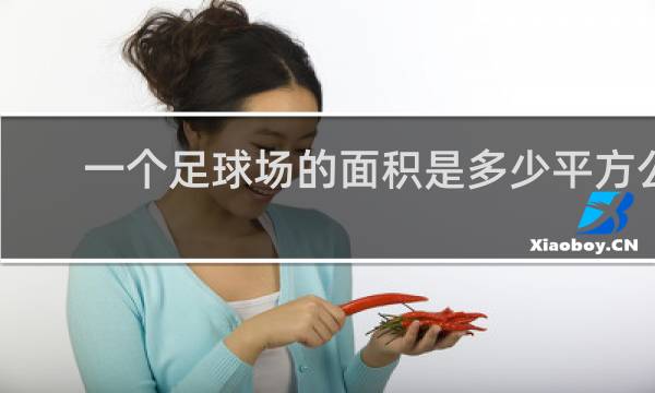 一个足球场的面积是多少平方公里