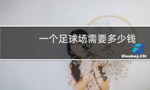 一个足球场需要多少钱