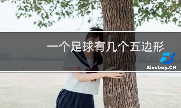 一个足球有几个五边形