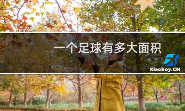 一个足球有多大面积