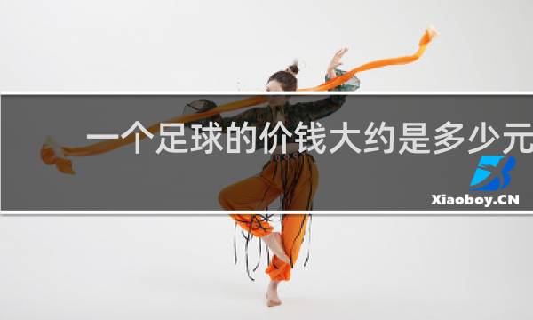 一个足球的价钱大约是多少元