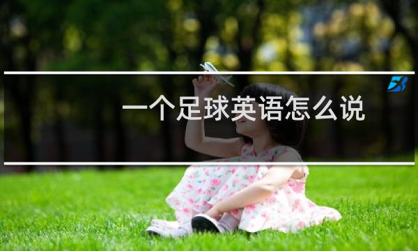 一个足球英语怎么说