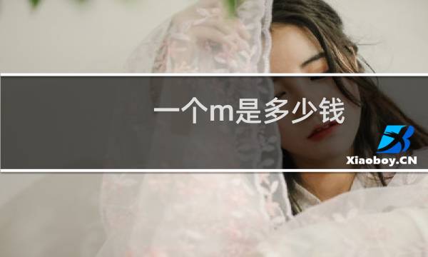 一个m是多少钱