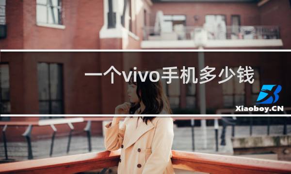 一个vivo手机多少钱